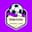 Team Flow FC