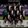 UD Team Flow