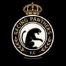 RACING PANTERS