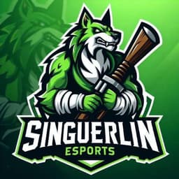 SINGUERLIN CF