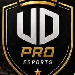 UD PRO EsPORTS
