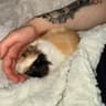 Mw3_kevin_esp