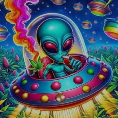 boxy_gasoil