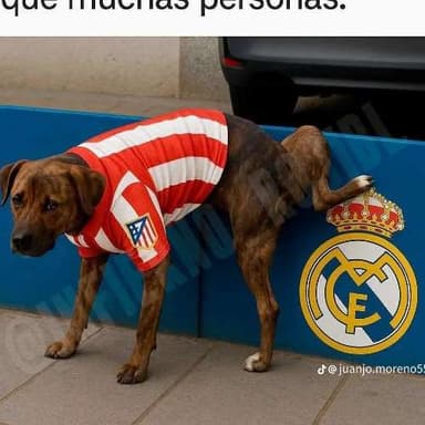 tatogonza999