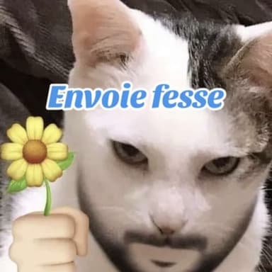 Maitre_LeZziX