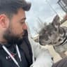 Magavi16