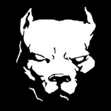 ElPitbull_Mane