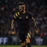 luismibiota