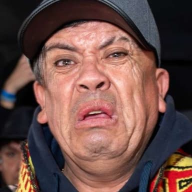 Pollanson